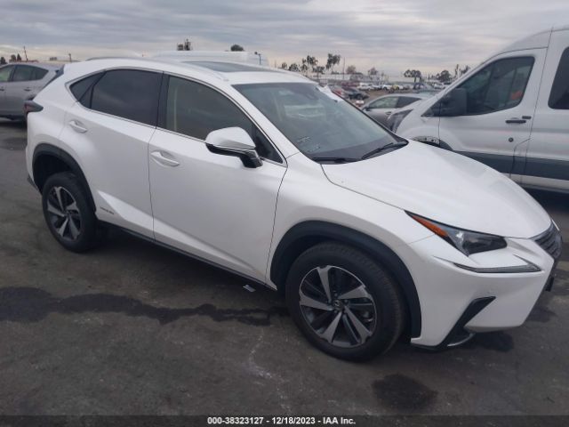 LEXUS NX 300H 2021 jtjgjrdz4m2167560