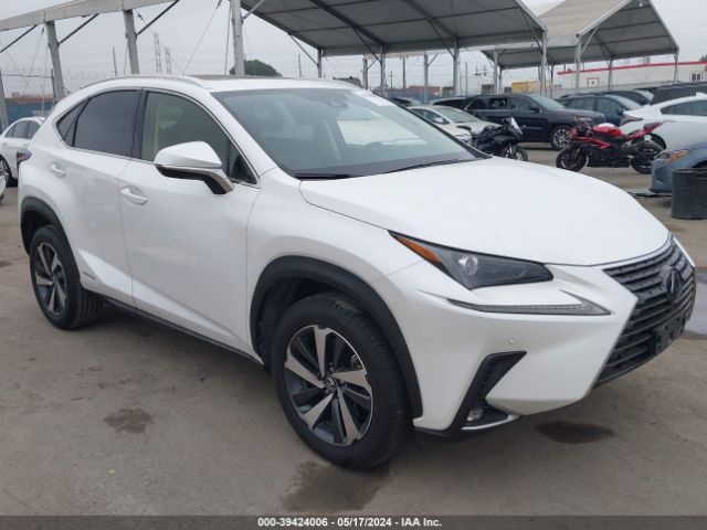 LEXUS NX 300H 2021 jtjgjrdz4m5010335