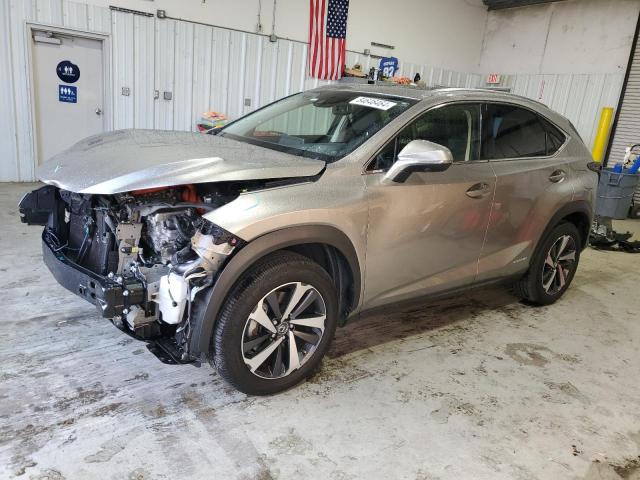 LEXUS NX 300H BA 2021 jtjgjrdz4m5015325