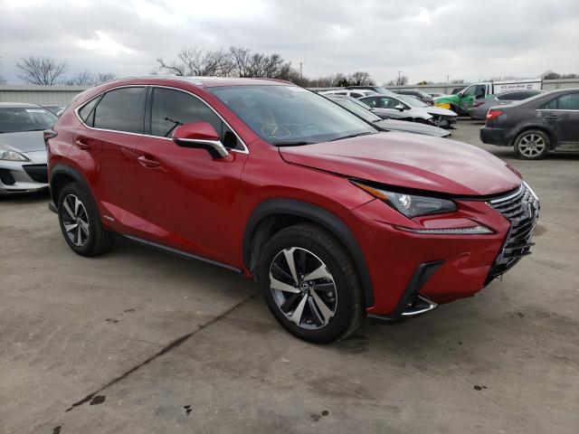 LEXUS NX 300H 2020 jtjgjrdz5l2142343