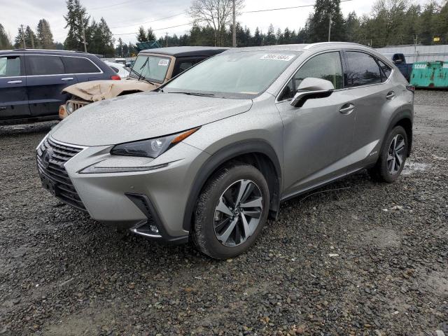 LEXUS NX 2020 jtjgjrdz5l5004896