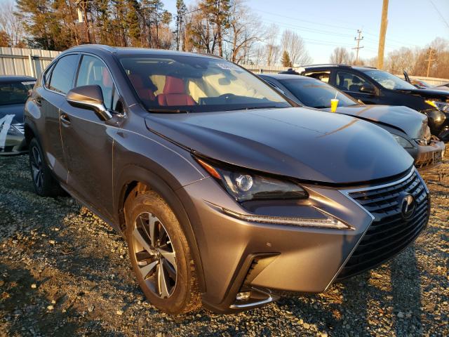 LEXUS NX 300H 2020 jtjgjrdz6l2126183