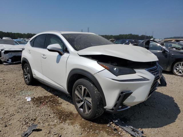 LEXUS NX 300H 2020 jtjgjrdz6l2127706