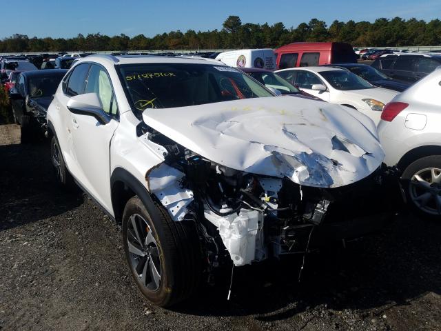 LEXUS NX 300H 2020 jtjgjrdz6l2145428