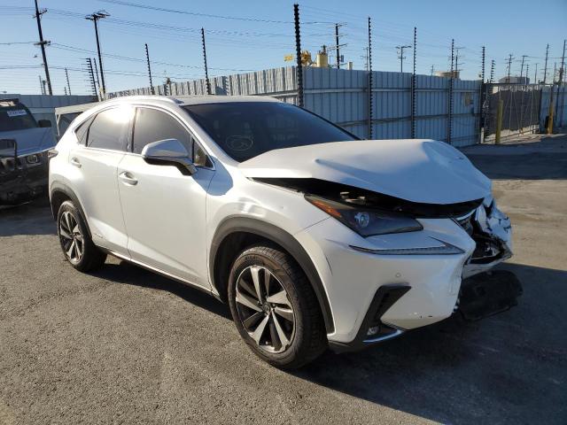 LEXUS NX 300H 2020 jtjgjrdz6l5003773