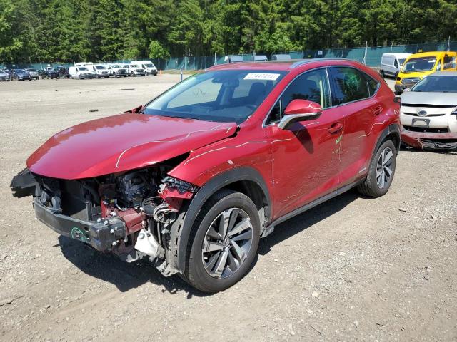 LEXUS NX 2020 jtjgjrdz6l5005846