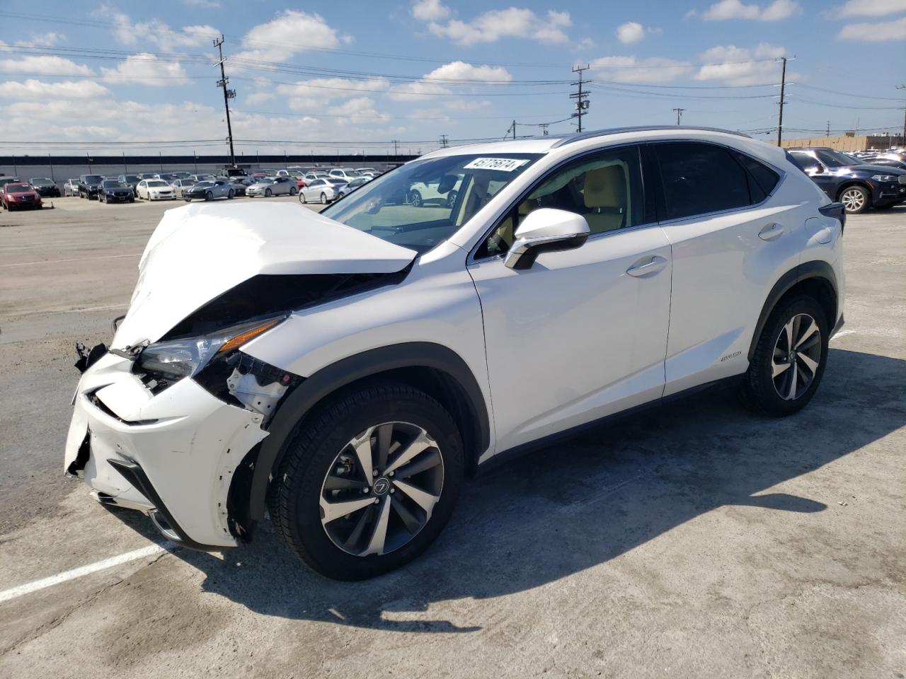 LEXUS NX 2020 jtjgjrdz6l5008083