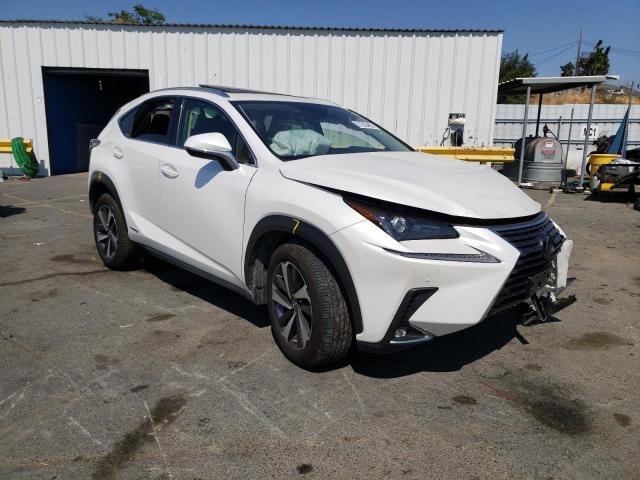 LEXUS NX 300H BA 2021 jtjgjrdz6m5011437