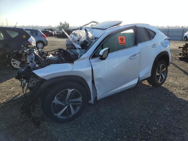 LEXUS NX 300H BA 2021 jtjgjrdz6m5014337