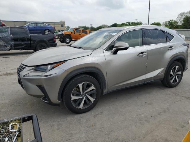 LEXUS NX 300H 2019 jtjgjrdz7l2134986