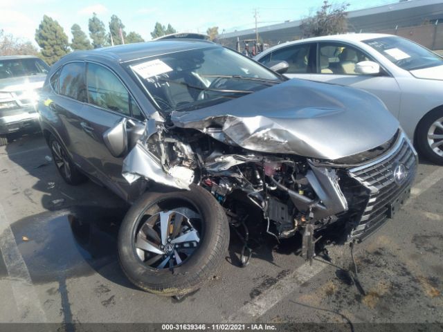 LEXUS NX 2020 jtjgjrdz7l5002258