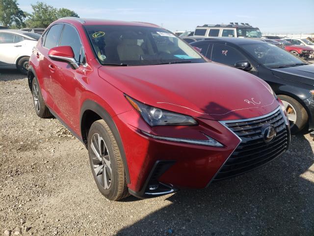 LEXUS NX 300H 2020 jtjgjrdz7l5002499