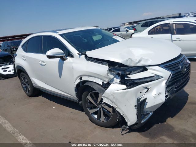 LEXUS NX 2020 jtjgjrdz7l5010182