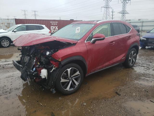 LEXUS NX 300H 2020 jtjgjrdz7l5010201