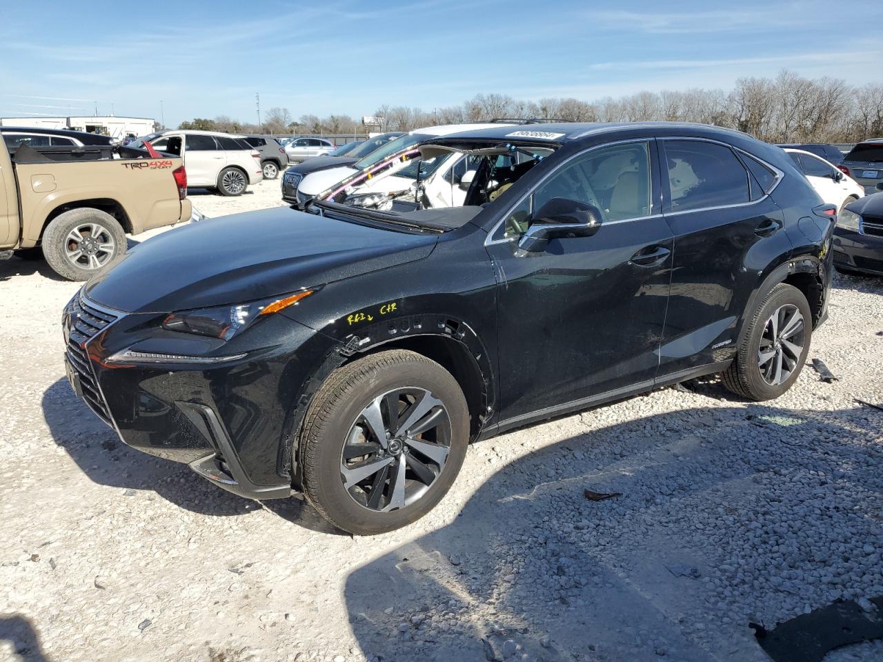 LEXUS NX 2021 jtjgjrdz7m2154270