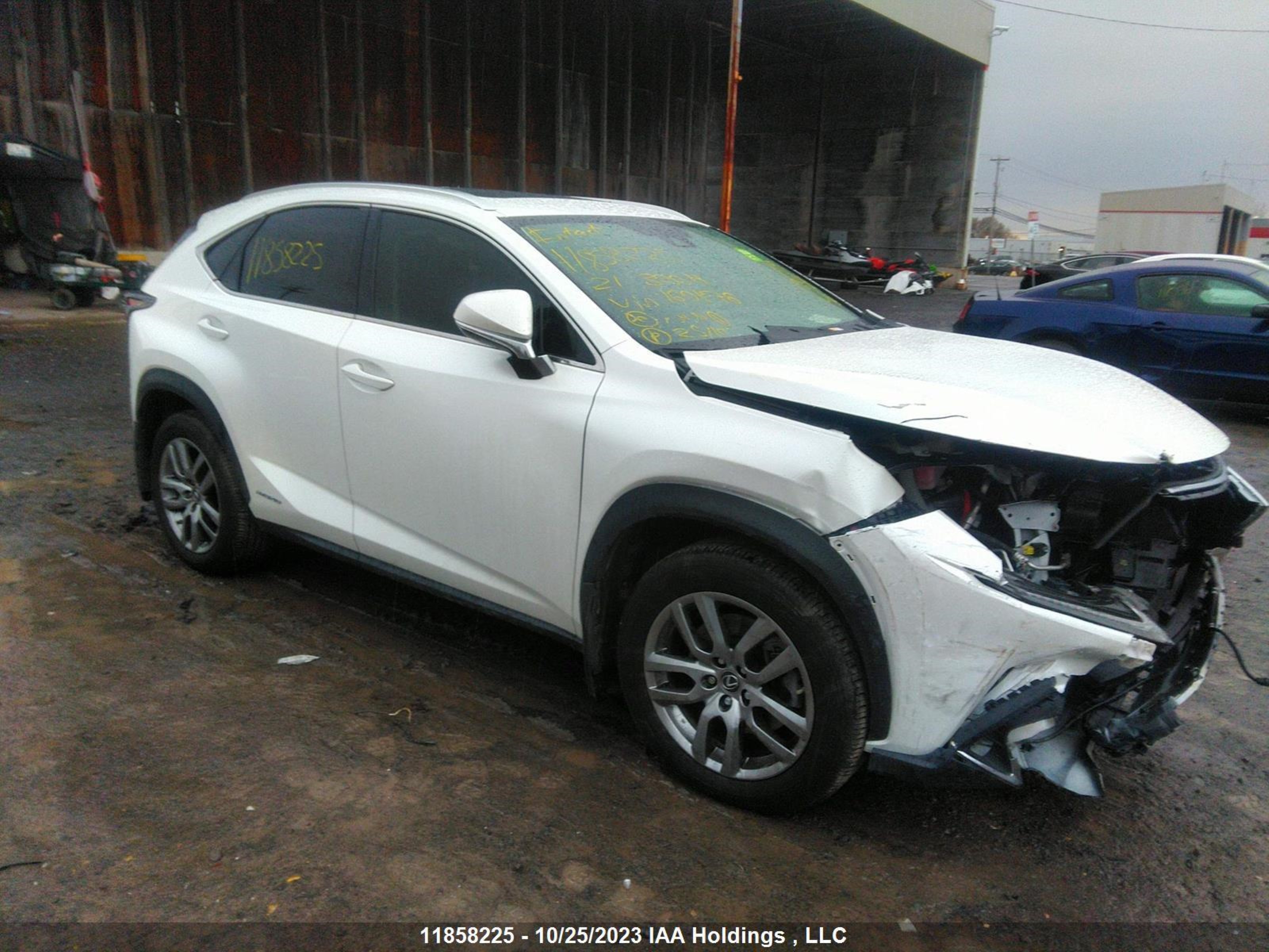 LEXUS NX 2021 jtjgjrdz7m2160876