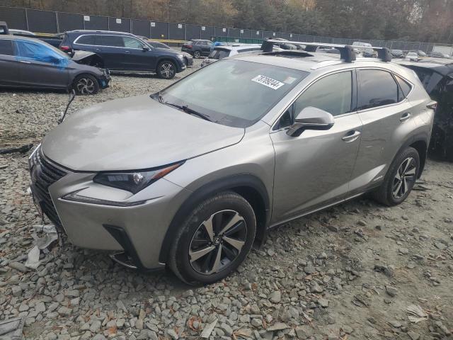 LEXUS NX 300H BA 2021 jtjgjrdz7m2161509