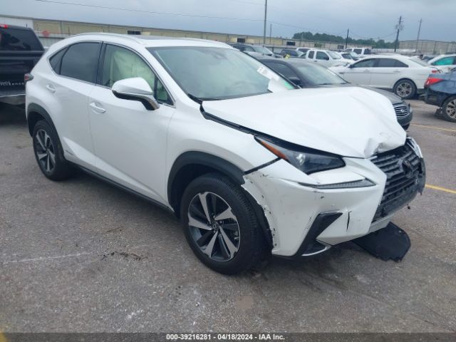 LEXUS NX 2021 jtjgjrdz7m5012631