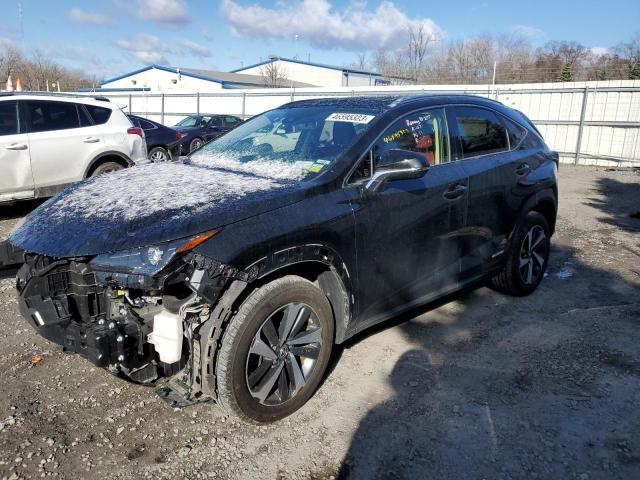 LEXUS NX 300H BA 2021 jtjgjrdz7m5012838