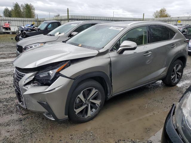 LEXUS NX 2020 jtjgjrdz8l2145530