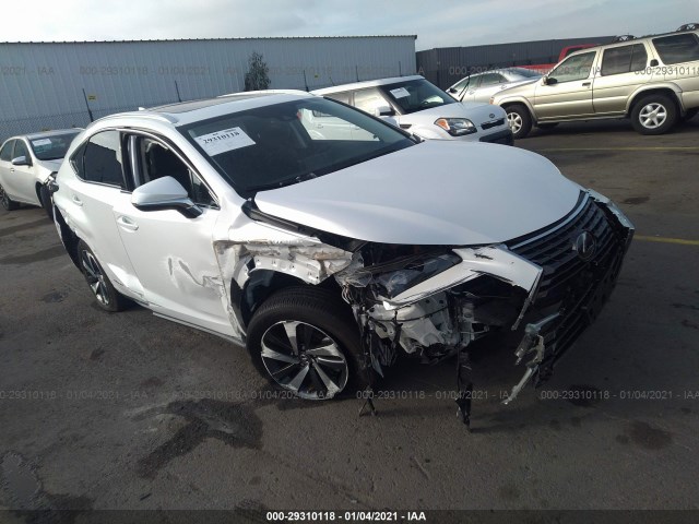 LEXUS NX 300H 2019 jtjgjrdz8l5000518