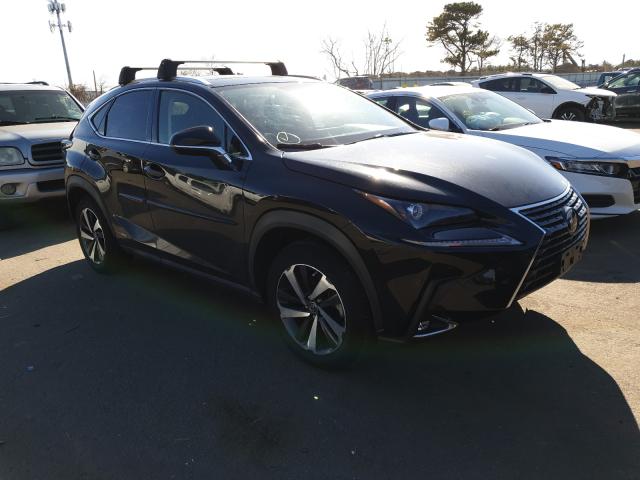 LEXUS NX 300H 2020 jtjgjrdz9l2126758