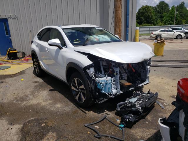 LEXUS NX 300H 2020 jtjgjrdz9l2127943