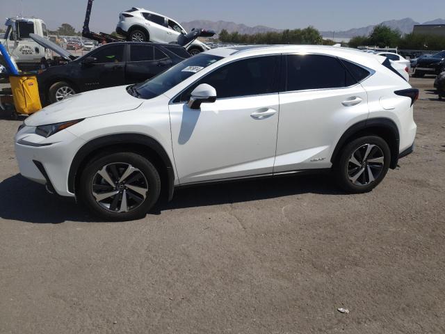 LEXUS NX 300H 2020 jtjgjrdz9l2130342