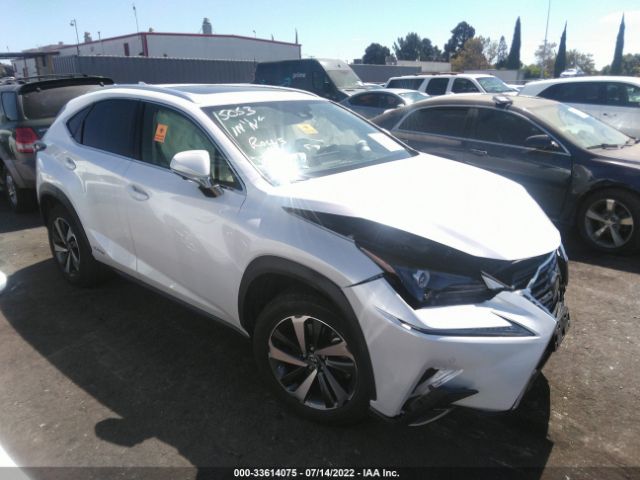 LEXUS NX 2020 jtjgjrdz9l2144340