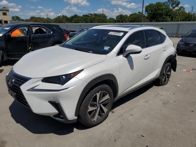 LEXUS NX 300H 2020 jtjgjrdz9l5009552