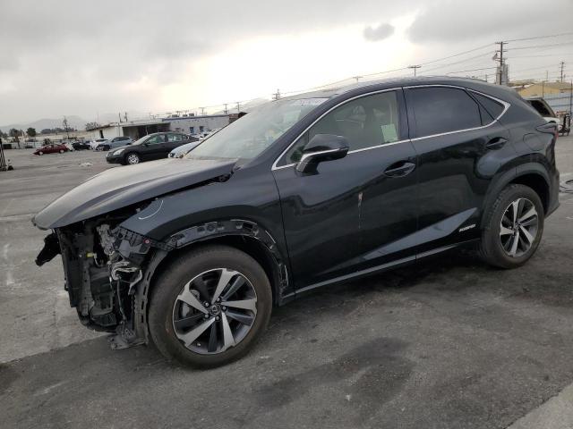 LEXUS NX 300H BA 2021 jtjgjrdz9m2150298