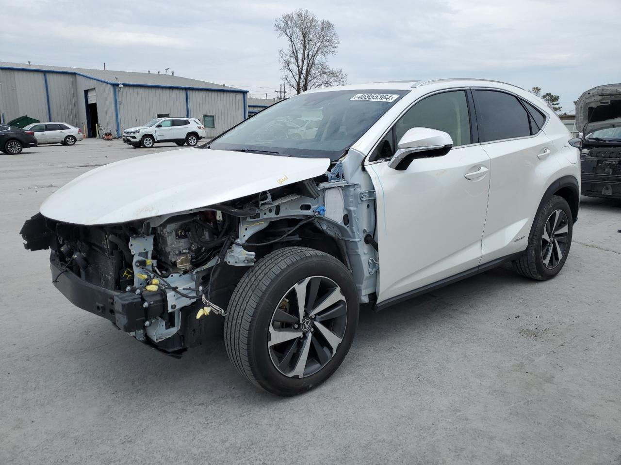 LEXUS NX 2021 jtjgjrdz9m2153685