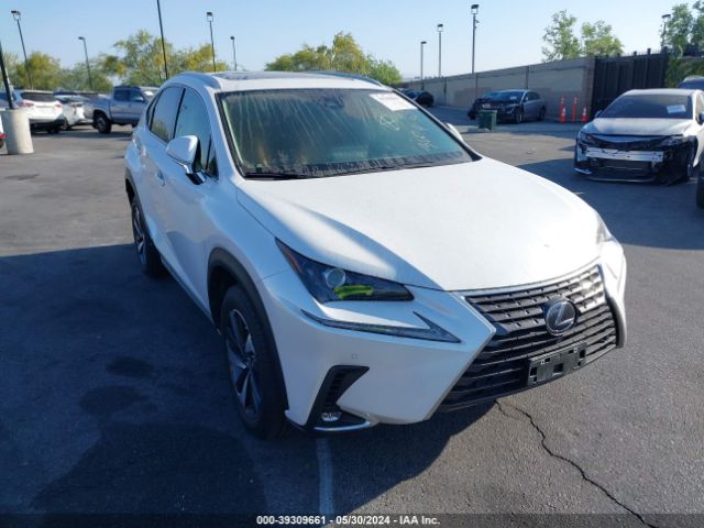 LEXUS NX 2021 jtjgjrdz9m2162614