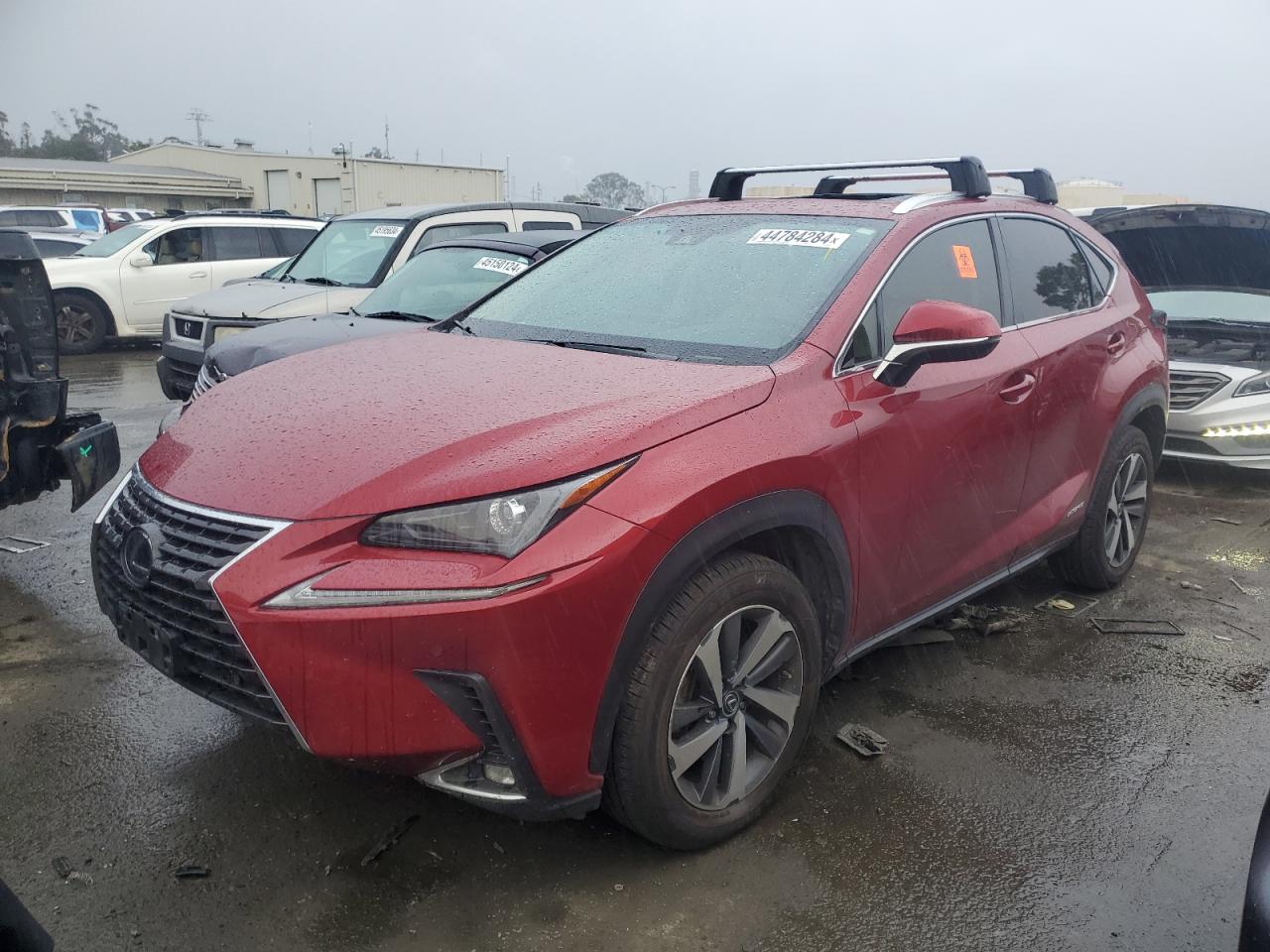 LEXUS NX 2020 jtjgjrdzxl5006899