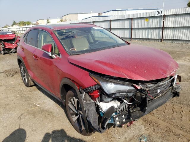 LEXUS NX 300H BA 2021 jtjgjrdzxm2149984