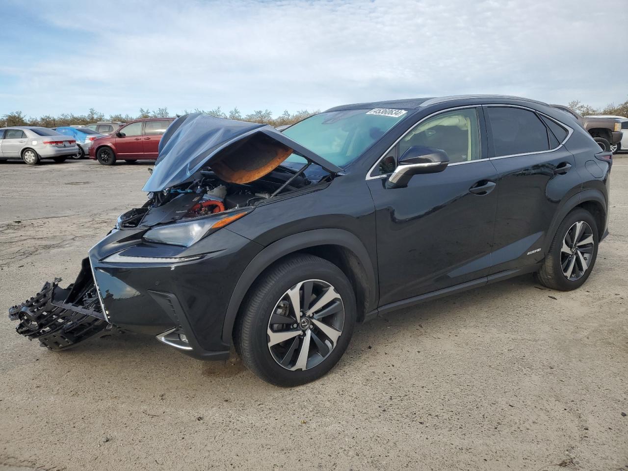 LEXUS NX 300H 2020 jtjgjrdzxm2151475