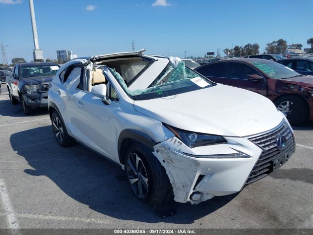 LEXUS NX 2021 jtjgjrdzxm2168437