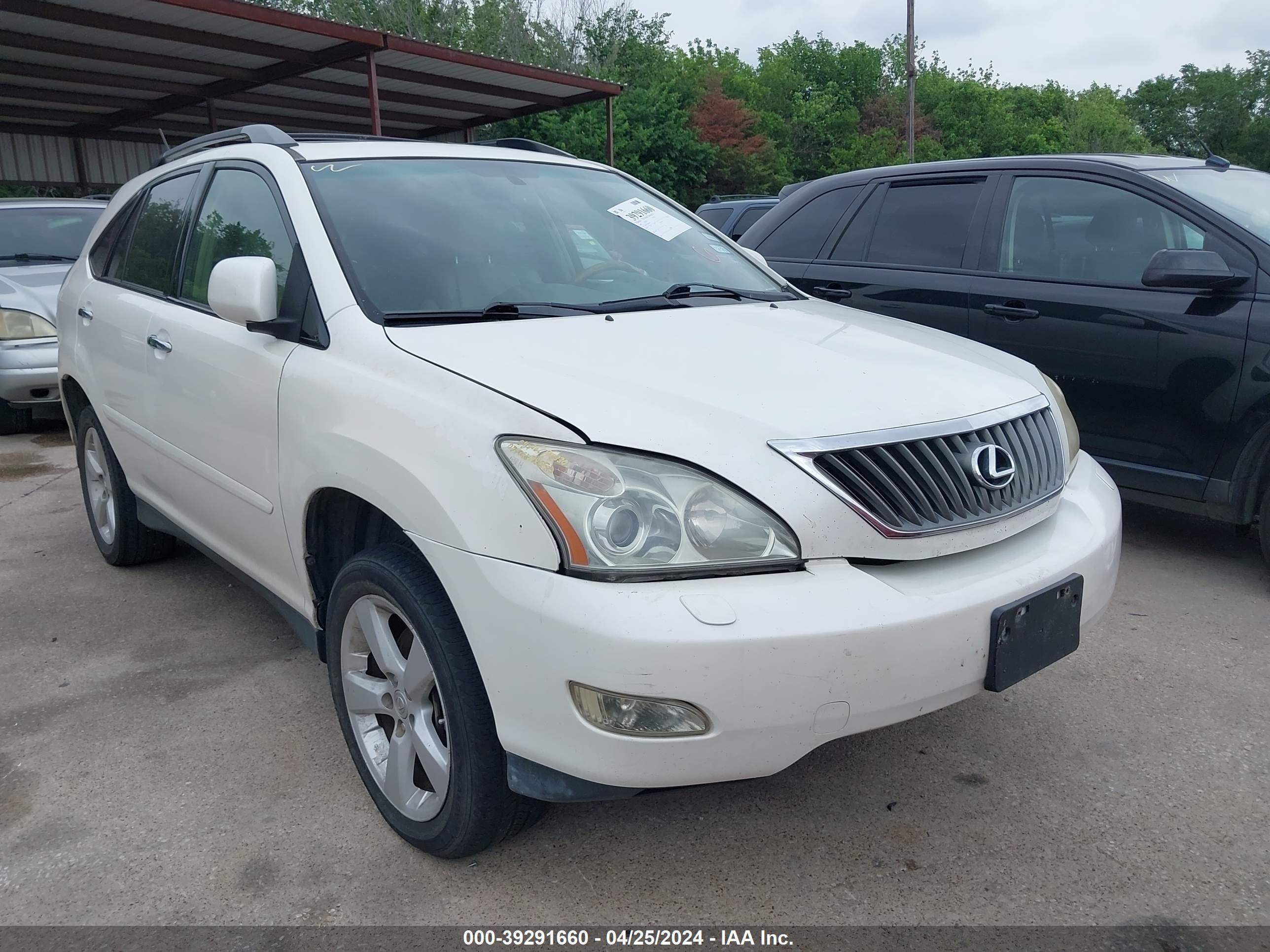 LEXUS RX 2009 jtjgk31u390015663