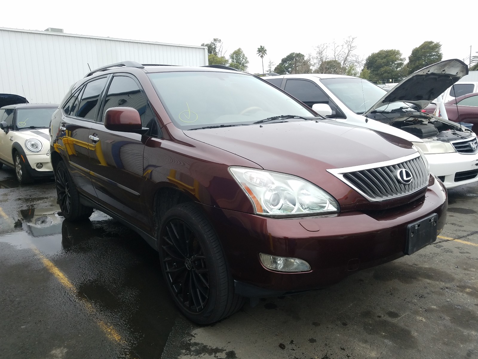 LEXUS RX 350 2008 jtjgk31u689850389