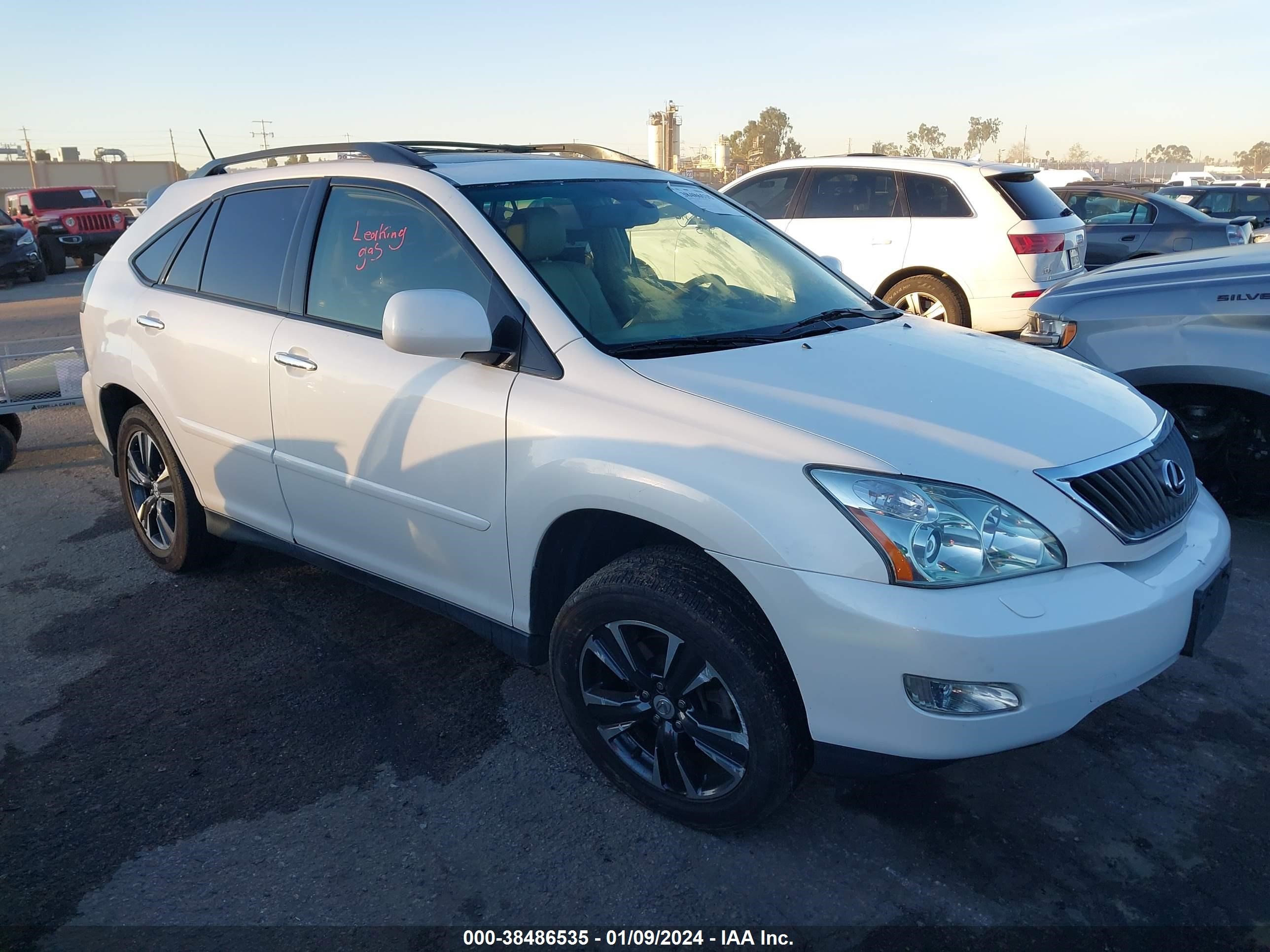 LEXUS RX 2009 jtjgk31u699853147