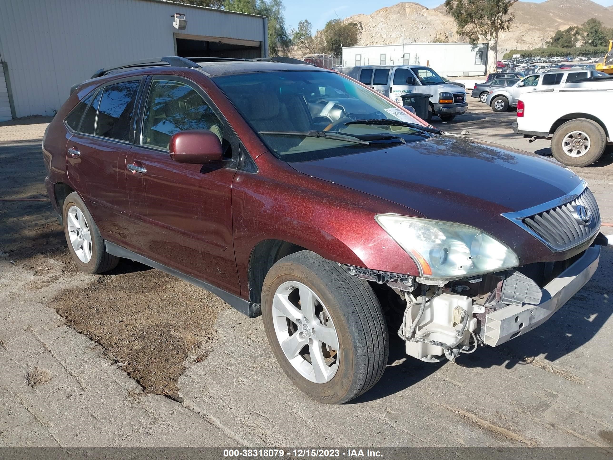 LEXUS RX 2009 jtjgk31u899852307