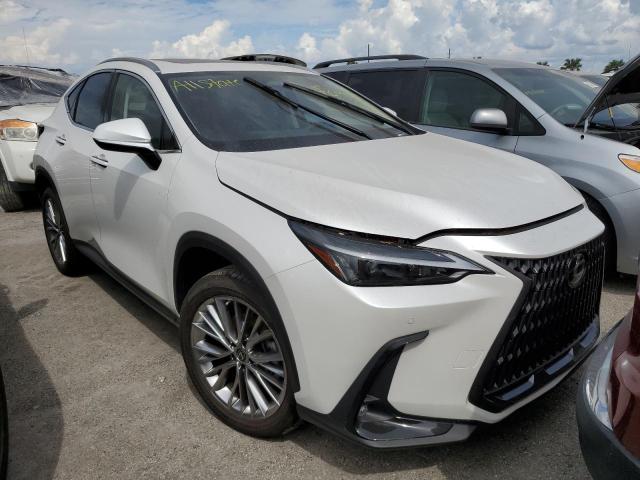 LEXUS NX 350H 2022 jtjgkcez0n5000895