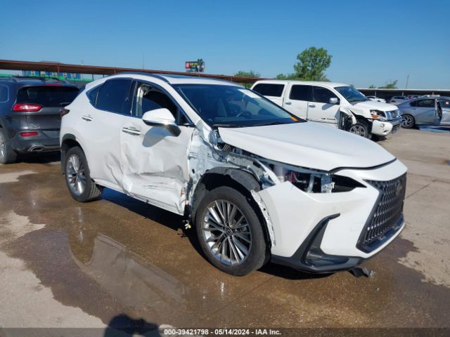 LEXUS NX 350H 2023 jtjgkcez0p5007459