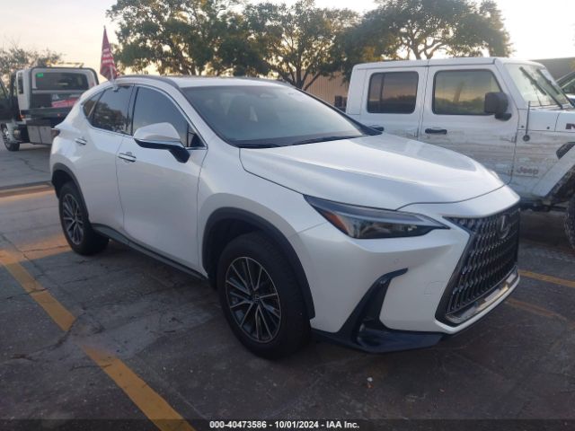 LEXUS NX 2024 jtjgkcez0r5021039