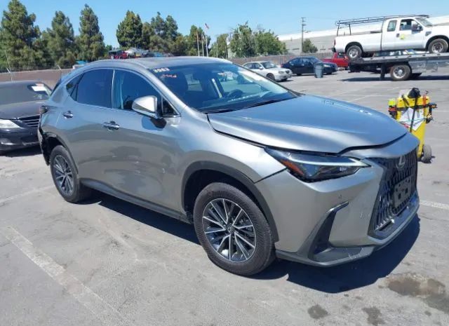 LEXUS NX 2022 jtjgkcez1n5003983