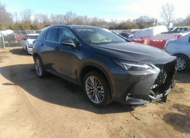 LEXUS NX 2022 jtjgkcez2n5002275