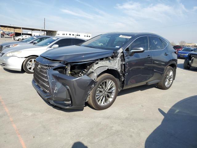 LEXUS NX 350H 2022 jtjgkcez2n5005578