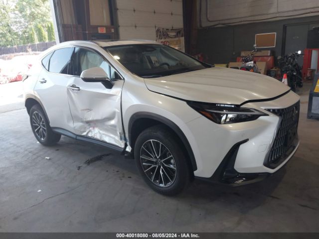 LEXUS NX 2024 jtjgkcez2r2023148