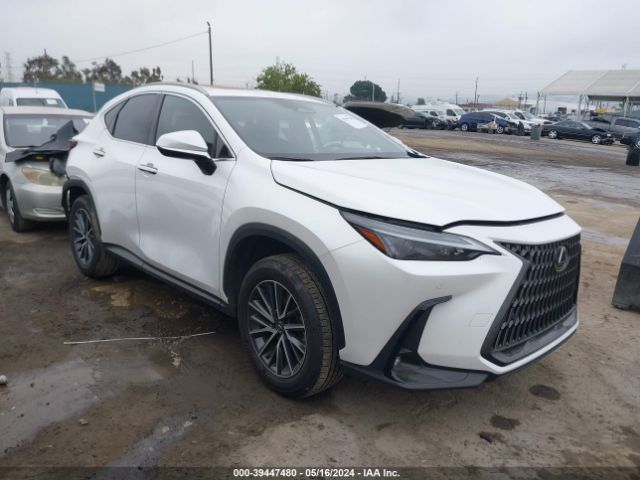 LEXUS NX 350H 2024 jtjgkcez2r5016361