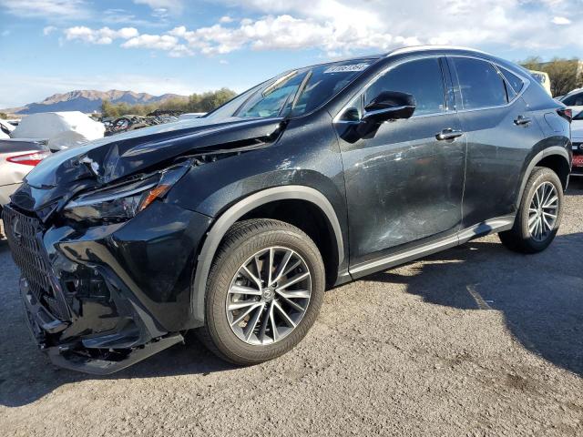 LEXUS NX 350H BA 2024 jtjgkcez3r5013856